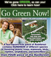 Go Green Now! We've gone Green, and so can you! Click here to learn how!